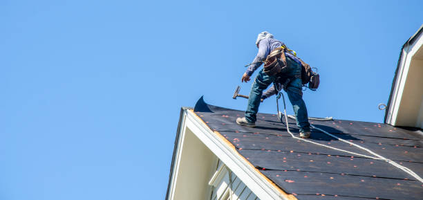 Best Metal Roofing Contractor  in Murfreesboro, NC